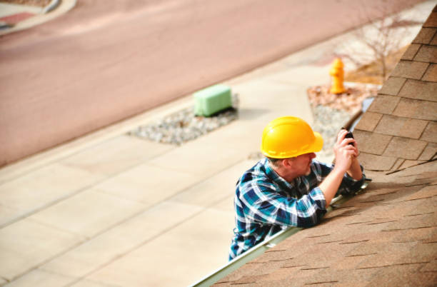 Best Roof Gutter Cleaning  in Alba, NY