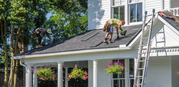 Best Storm Damage Roof Repair  in Alba, NY