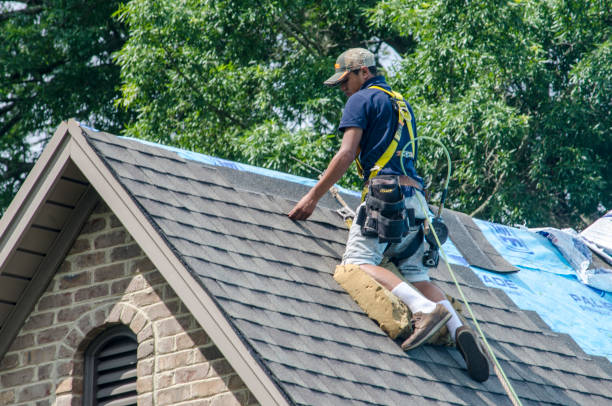 Roof Gutter Cleaning in Albany, NY